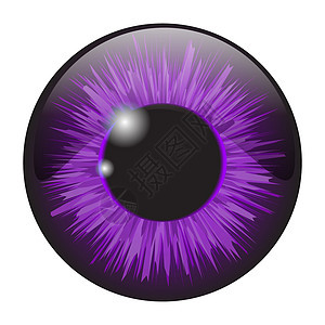 紫色虹膜眼逼真矢量集设计隔离在惠特眼睛镜片插图蓝色圆形绿色球体白色光学解剖学图片