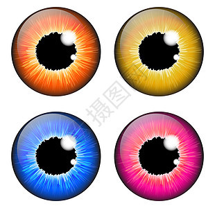 在白色 backgr 上隔离的虹膜眼逼真矢量集设计圆形解剖学眼睛光学镜片宏观眼球棕色球体绿色图片