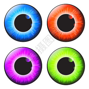 在白色 backgr 上隔离的虹膜眼逼真矢量集设计棕色艺术圆形球体眼球宏观视网膜眼睛反射瞳孔图片