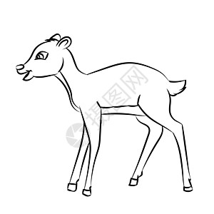 鹿鼠卡通线绘制 Vecto艺术草图哺乳动物快乐卡通片艺术品绘画驯鹿插图黑色图片
