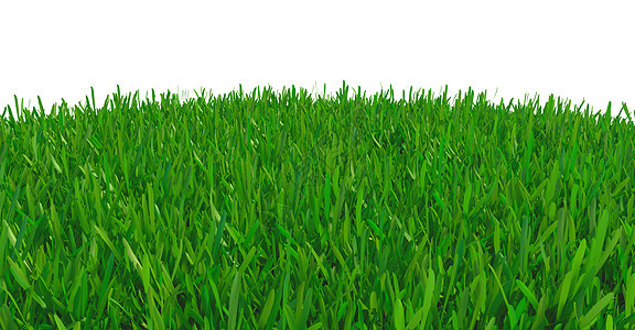 草背景纹理环境花园土地院子闲暇渲染生长地毯绿色植物公园图片