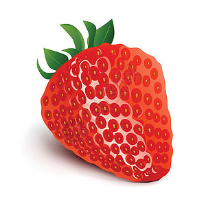 在白色背景上隔离的草莓- Vector I 说明图片