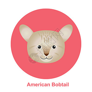 圆形矢量插图中美式鲍勃尾猫图片