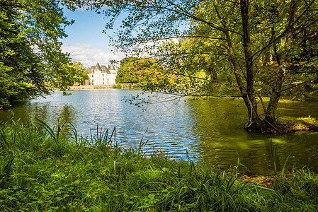 尼乌尔城堡和湖泊风景反射公园环境水池天气木头叶子沉着图片