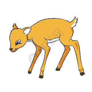 鹿鼠卡通线绘制 Vecto野生动物艺术品染色快乐艺术动物夹子插图微笑卡通片图片