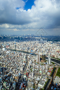 日本东京市天线空中观测 日本建筑市中心场景墨田天际景观城市全景鸟瞰图首都图片