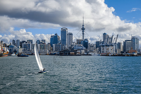 新西兰海洋和帆船的奥克兰风景航行市中心建筑学蓝色港口地标中心旅行海岸商业图片