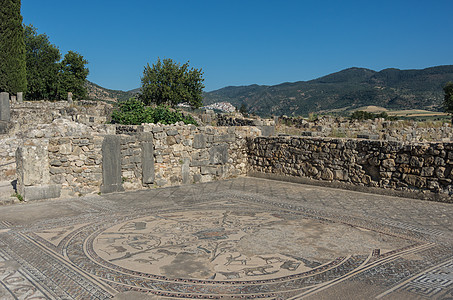 Mosaic地板 Volubilis废墟 罗马城市的挖掘图片