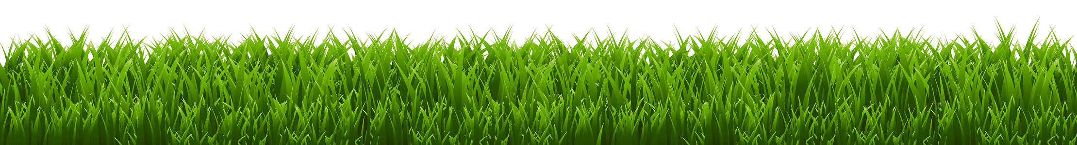 草草边界草本植物活力环境足球插图墙纸草地纹理牧场公园图片