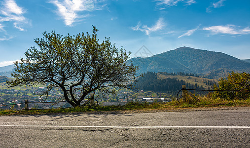 穿过山区农村地区农村道路的乡村公路柏油叶子环境木头果园爬坡土地驼峰地面风景图片