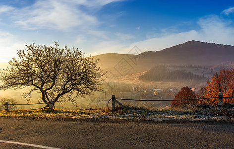 日出时穿过山区乡村的公路旅行国家薄雾风景马路环境阴霾运输地区柏油图片