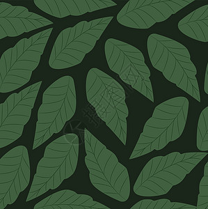 无缝的绿色叶子模式 矢量插图 背形图片