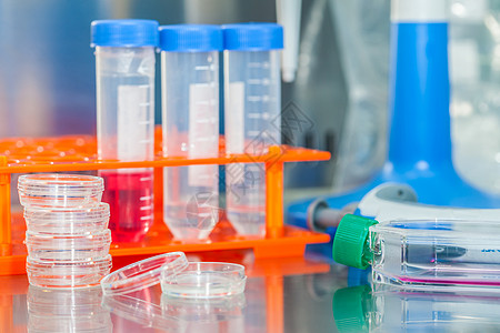 实验室安全 laminar 空气流柜中的实验室材料吸管微管管子遗传学液体生物学科学塑料架子化学图片