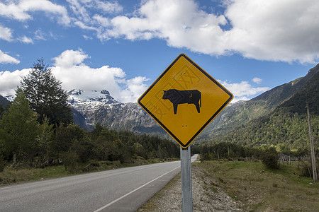 催眠手术上警告路标的牛牛图片