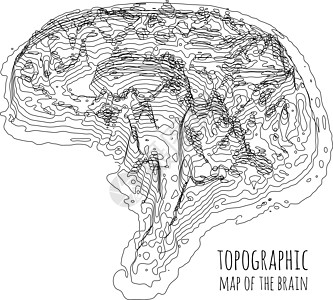 地形图形式的大脑 神经元之间现代技术数据传输的概念知识健康创造力科学医疗头脑网络解剖学记忆智力图片
