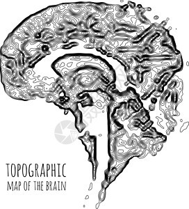 地形图形式的大脑 神经元之间现代技术数据传输的概念科学知识思维网络药品智力思考记忆医疗头脑背景图片