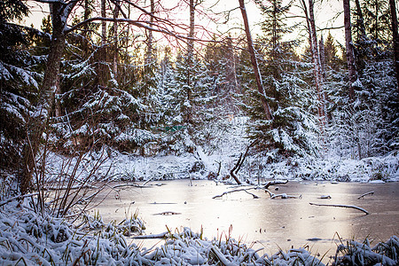 冬天结冰的河水 雪树天空旅游蓝色公园温度林地顶峰蓝天阳光场景图片