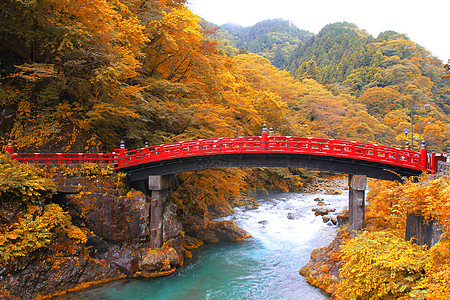 秋季新京大桥 日本日子红色山脉吸引力乡村旅行溪流日光历史性地标风景图片