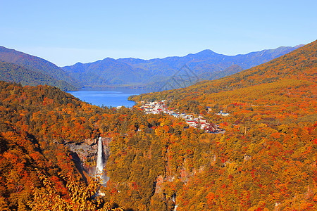 秋季的Kegon瀑布和Chuzenji湖叶子天文天空蓝色森林橙子红色季节场景日光图片