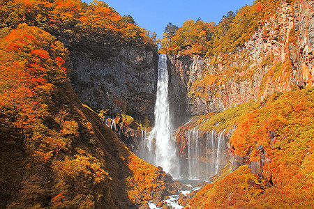 在秋天季节 尼克科 日本叶子公园溪流瀑布场景旅行风景国家日光红色图片