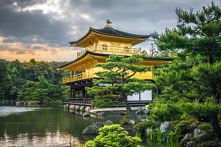 日本京都Kinkakuji金殿公园神社宗教金子鸢尾花历史性地标文化旅游遗产图片