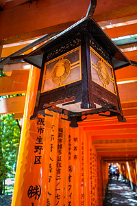 日本京都伏见稻荷大社的灯笼森林灯光历史木头人行道神道寺庙隧道避难所旅游图片