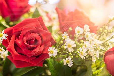紧贴红玫瑰花束婚姻白色叶子玫瑰婚礼团体念日红色花瓣礼物图片