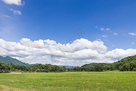 绿草草地农村景观图片