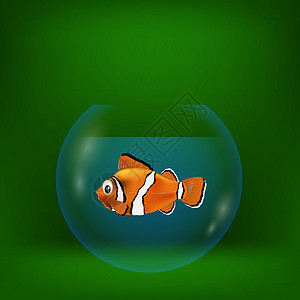 海小丑鱼的多彩插图图片
