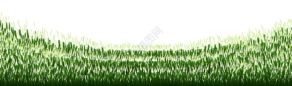 绿草边框草地牧场叶子足球插图纹理环境场地草本植物园艺图片
