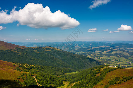 山中美丽的夏日风景图片