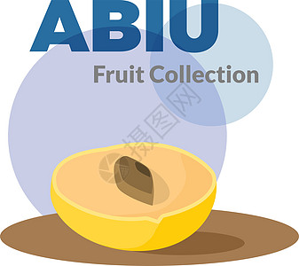 或背景上孤立的 abiu 金色水果 黄色矢量热带水果异国生态公园食物木头果味美食情调场地农民图片