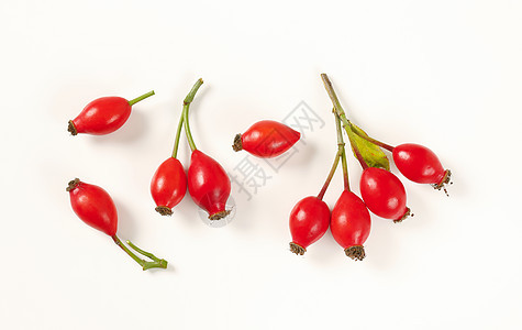 成熟的玫瑰臀荒野草本植物红色小枝食物植物枝条水果团体蔷薇图片