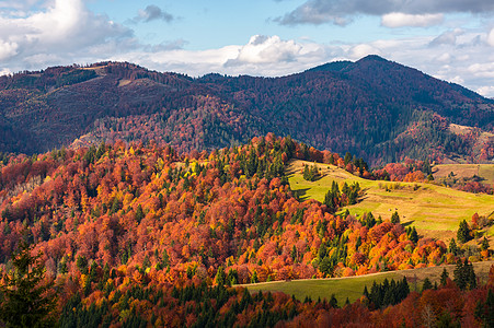 秋天的农村丘陵天堂海拔天空植物山坡风景爬坡叶子木头图片