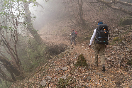 尼泊尔丛林潮流中的后背帕克手游客生态远足者远足男人山脉旅行天空假期旅游背景图片