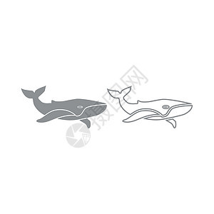 鲸鱼图标 灰色套装图片