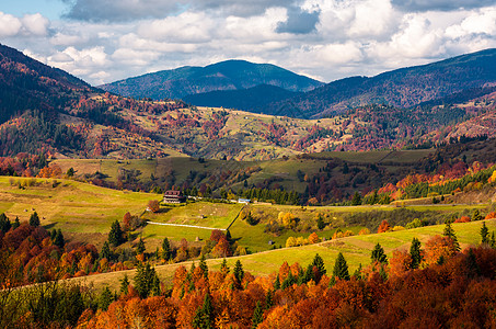 秋天滚动山丘上的林林农村地区图片