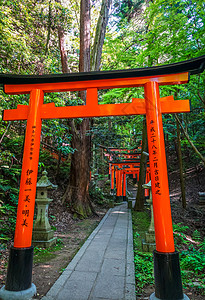 圣托里日本京都历史寺庙神社避难所旅行汉子佛教徒小路森林人行道背景