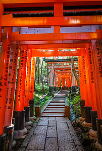 日本京都佛教徒旅游森林寺庙小路地标宗教人行道避难所神道图片