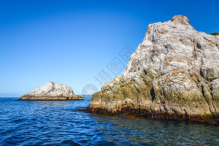 Kaikoura湾的岩石支撑海滩悬崖动物风景海岸线旅行海岸天空蓝色图片