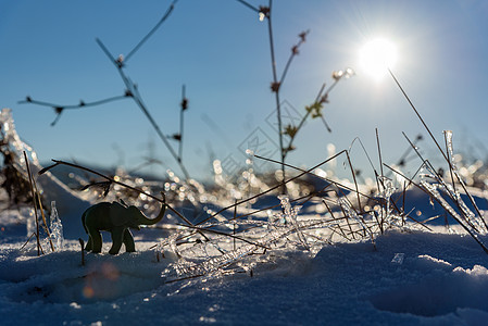 橡皮泥大象冬季冒险 冻草 冬季自然植物黏土松树卡通片雕塑创造力阳光日落橡皮泥玩具图片