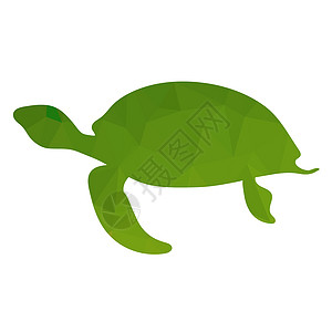 海洋绿海龟图标图片