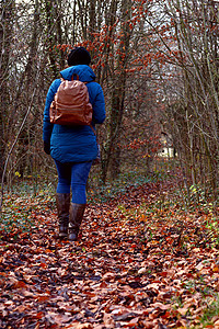 妇女穿着温暖的夹克在秋天的林地上徒步旅行图片