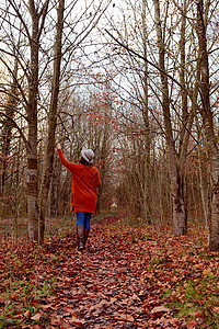 独自走上林地道路 触摸树木的妇女图片