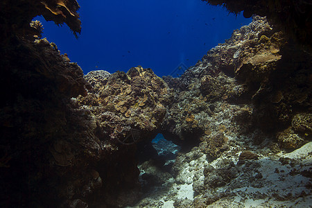穿越珊瑚礁的洞洞图片