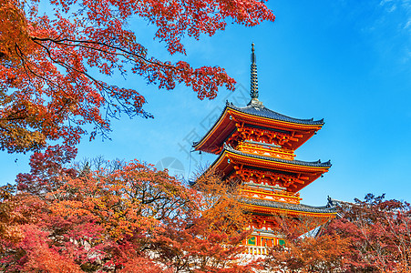 秋天 京都在日本旅游历史性地标文化清水寺庙神社旅行历史城市图片
