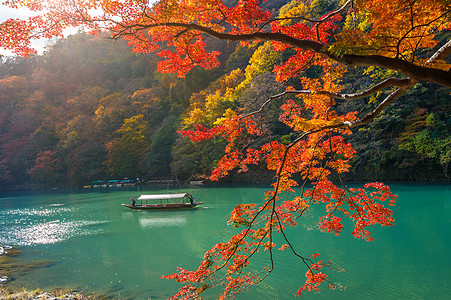 在日本京都沿河的秋天 阿拉希山号船轮在河边打上船叶子旅游旅行竹子森林和服地标吸引力女士假期图片