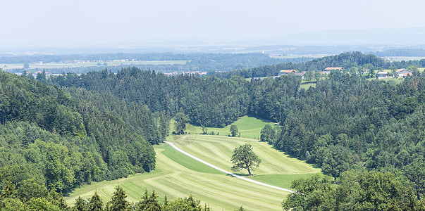 日出在田野和树林上土地场地环境干草农业薄雾太阳风景天空城市图片