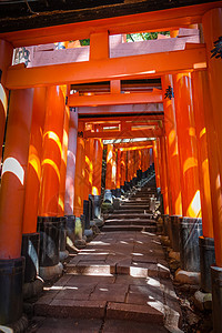 日本京都旅行佛教徒森林观光神道神社寺庙文化木头小路图片