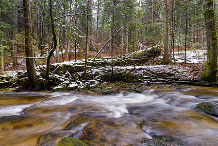 秋末 初冬和雪下 斯洛文亚州温加峡谷Slovenia的溪流中暴风雨生活岩石冥想瀑布荒野环境叶子旅行树木森林图片